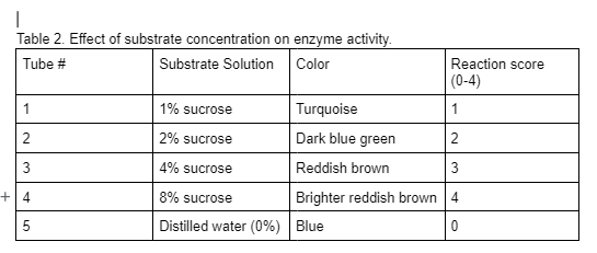 I
Table 2. Effect of substrate concentration on enzyme activity.
Tube #
Substrate Solution
Color
1
2
3
+4
5
Reaction score
(0-4)
Turquoise
1
Dark blue green
2
Reddish brown
3
Brighter reddish brown 4
0
1% sucrose
2% sucrose
4% sucrose
8% sucrose
Distilled water (0%) Blue