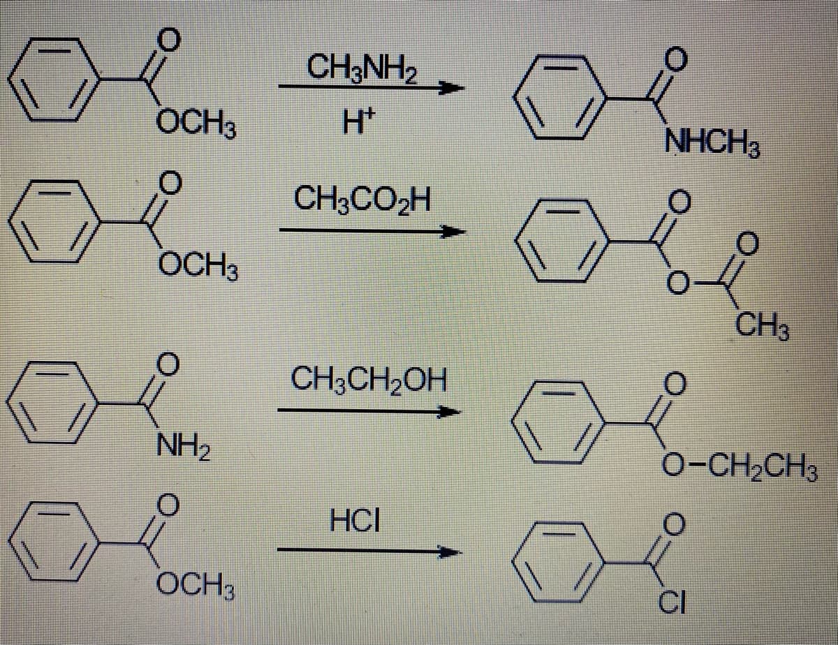 CH3NH2
OCH3
H*
NHCH3
CH3CO2H
OCH3
CH3
CH3CH2OH
NH2
0-CH2CH3
HCI
OCH3
CI
