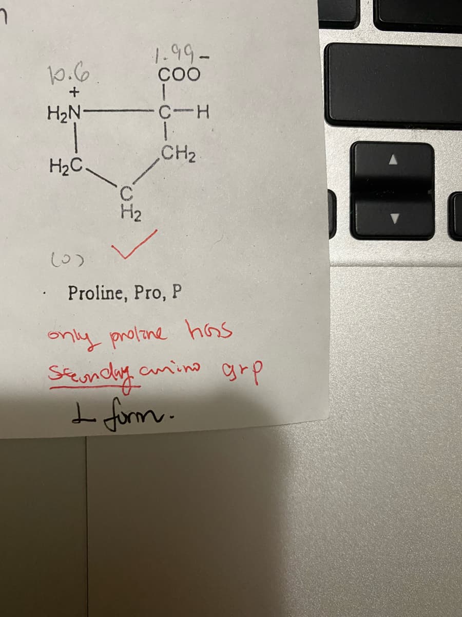 7
10.6
H₂N-
H₂C.
(0)
of
H₂
1.99-
соо
T
C-H
CH₂
Proline, Pro, P
only proline has
Secondary amino
L form.
grp