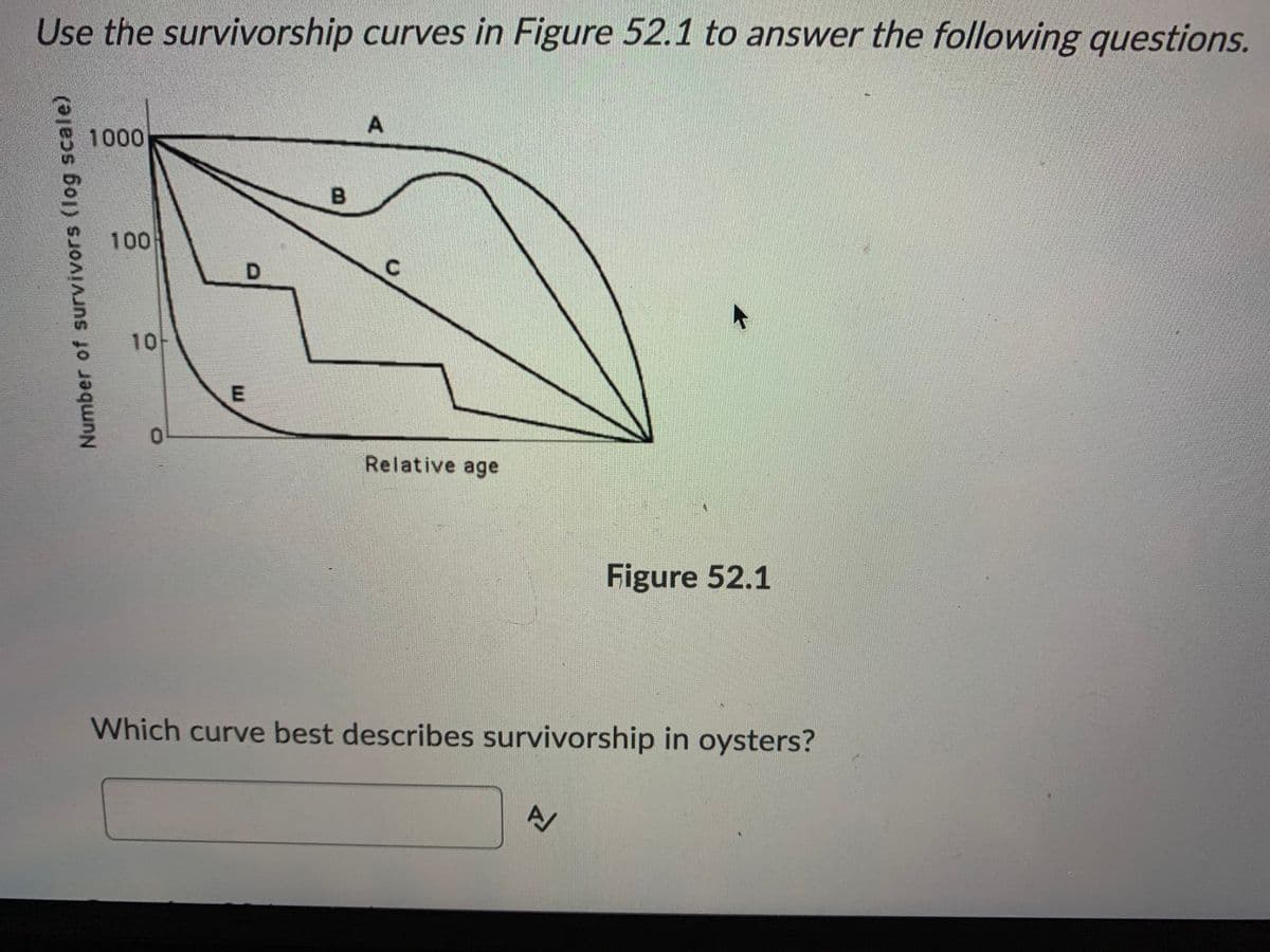 Use the survivorship curves in Figure 52.1 to answer the following questions.
1000
100
C.
10-
Relative age
Figure 52.1
Which curve best describes survivorship in oysters?
A/
Number of survivors (log scale)
E.
