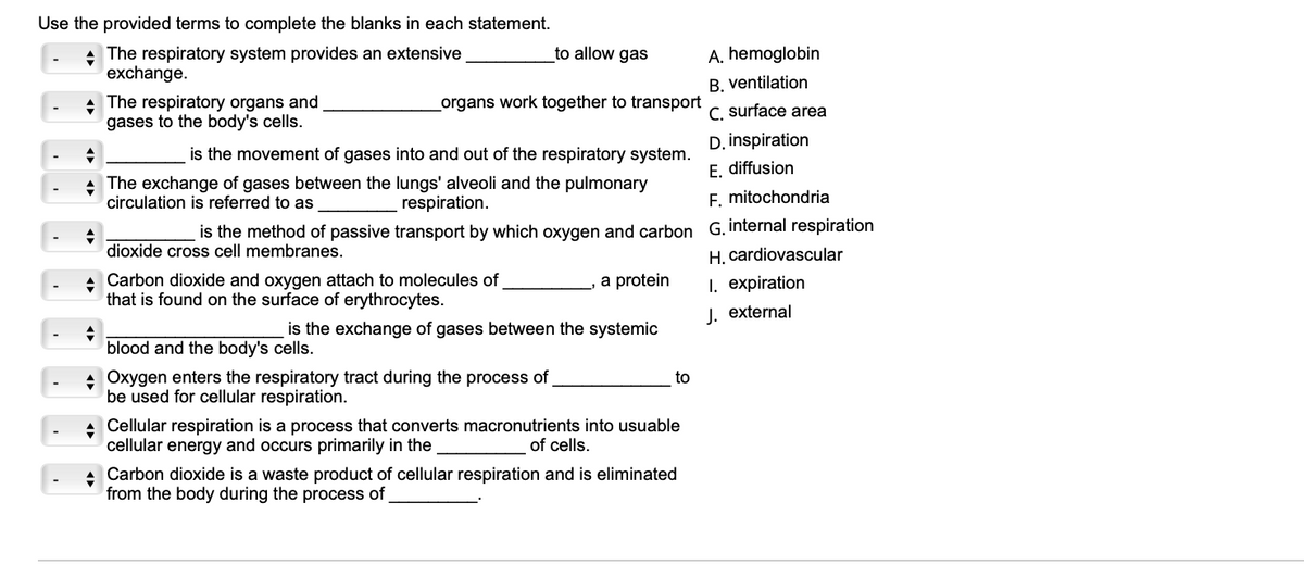 Use the provided terms to complete the blanks in each statement.
The respiratory system provides an extensive
exchange.
+
organs work together to transport
is the movement of gases into and out of the respiratory system.
→
The exchange of gases between the lungs' alveoli and the pulmonary
circulation is referred to as
respiration.
+
The respiratory organs and
gases to the body's cells.
+
is the method of passive transport by which oxygen and carbon
dioxide cross cell membranes.
+
Carbon dioxide and oxygen attach to molecules of
that is found on the surface of erythrocytes.
to allow gas
blood and the body's cells.
is the exchange of gases between the systemic
◆ Oxygen enters the respiratory tract during the process of
be used for cellular respiration.
a protein
to
+ Cellular respiration is a process that converts macronutrients into usuable
cellular energy and occurs primarily in the
of cells.
+
Carbon dioxide is a waste product of cellular respiration and is eliminated
from the body during the process of
A. hemoglobin
B. ventilation
C.
surface area
D. inspiration
E. diffusion
F. mitochondria
G. internal respiration
H. cardiovascular
1. expiration
J. external