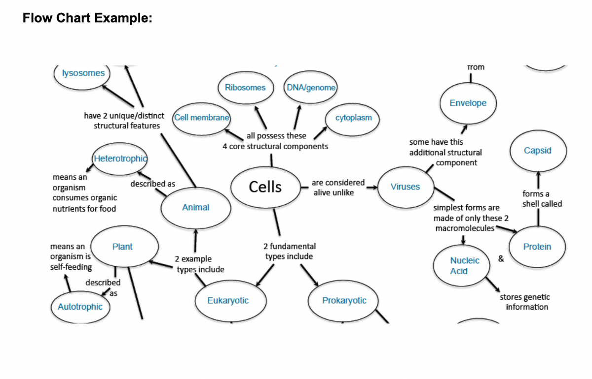 Flow Chart Example:
Trom
lysosomes
Ribosomes
DNA/genome
Envelope
have 2 unique/distinct Cell membrane
structural features
cytoplasm
all possess these
4 core structural components
some have this
additional structural
component
Capsid
Heterotrophic
means an
are considered
alive unlike
described as
Cells
Viruses
organism
consumes organic
nutrients for food
forms a
shell called
simplest forms are
made of only these 2
macromolecules
Animal
means an
Plant
2 fundamental
Protein
organism is
self-feeding
2 example
types include
&
Nucleic
typeş include
Acid
described
as
Autotrophic
Eukaryotic
Prokaryotic
stores genetic
information
