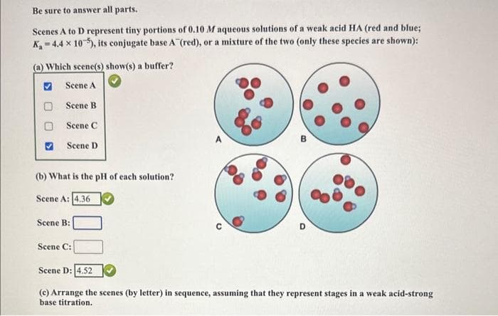 Be sure to answer all parts.
Scenes A to D represent tiny portions of 0.10 M aqueous solutions of a weak acid HA (red and blue;
K-4.4 x 10-5), its conjugate base A (red), or a mixture of the two (only these species are shown):
(a) Which scene(s) show(s) a buffer?
Scene A
Scene B
Scene
Scene D
(b) What is the pH of each solution?
Scene A: 4.36
Scene B:
Scene C:
Scene D: 4.52
B
(c) Arrange the scenes (by letter) in sequence, assuming that they represent stages in a weak acid-strong
base titration.