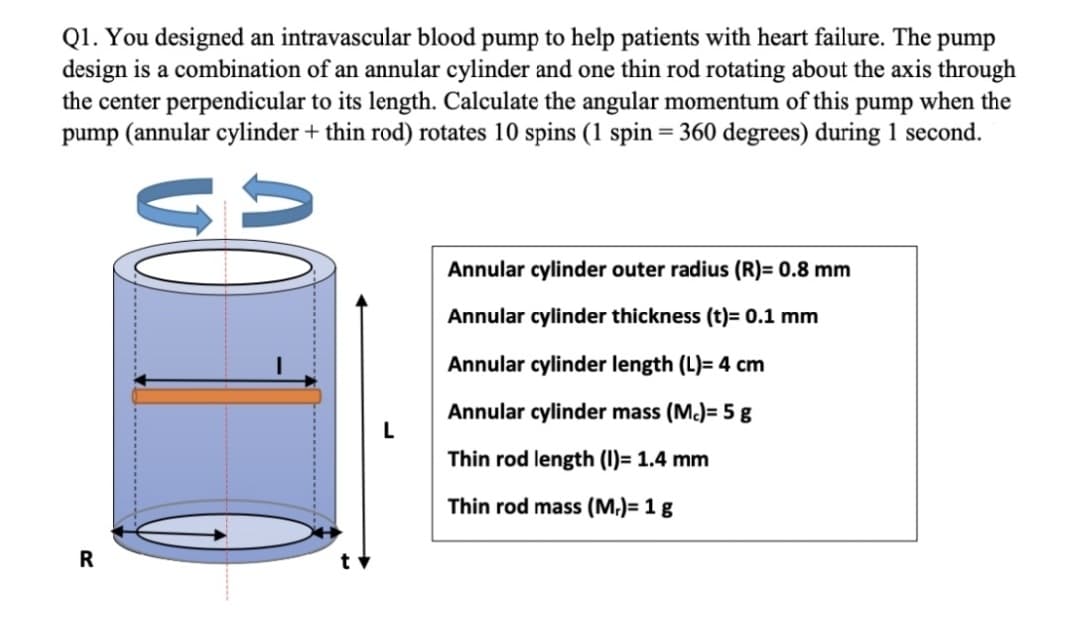 Q1. You designed an intravascular blood pump to help patients with heart failure. The pump
design is a combination of an annular cylinder and one thin rod rotating about the axis through
the center perpendicular to its length. Calculate the angular momentum of this pump when the
pump (annular cylinder + thin rod) rotates 10 spins (1 spin = 360 degrees) during 1 second.
Annular cylinder outer radius (R)= 0.8 mm
Annular cylinder thickness (t)= 0.1 mm
Annular cylinder length (L)= 4 cm
Annular cylinder mass (M.)= 5 g
Thin rod length (I)= 1.4 mm
Thin rod mass (M,)= 1 g
R
