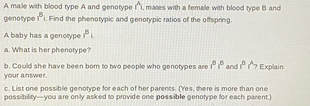 A male with blood type A and genotype Ai, mates with a female with blood type B and
genotype Bi. Find the phenotypic and genotypic ratios of the offspring.
A baby has a genotype Bi.
a. What is her phenotype?
b. Could she have been born to two people who genotypes are BB and IBA? Explain
your answer.
c. List one possible genotype for each of her parents. (Yes, there is more than one
possibility-you are only asked to provide one possible genotype for each parent.)