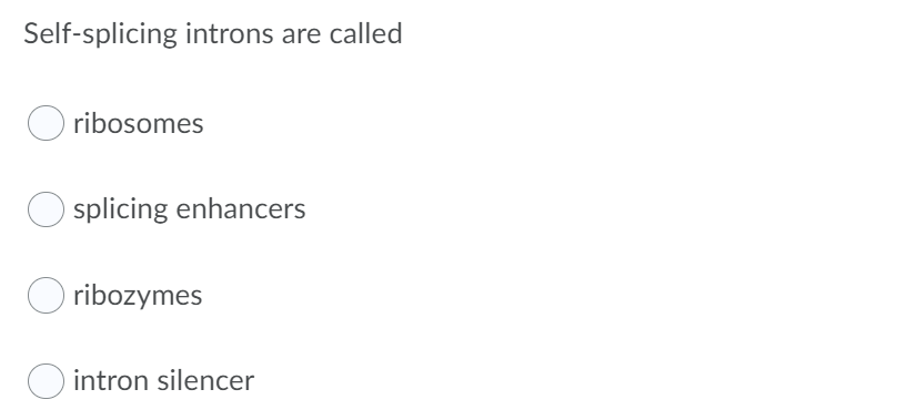 Self-splicing introns are called
ribosomes
splicing enhancers
ribozymes
intron silencer
