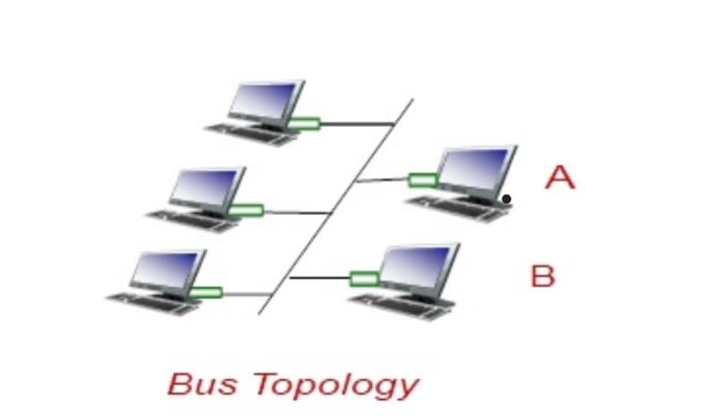 A
B
Bus Topology
