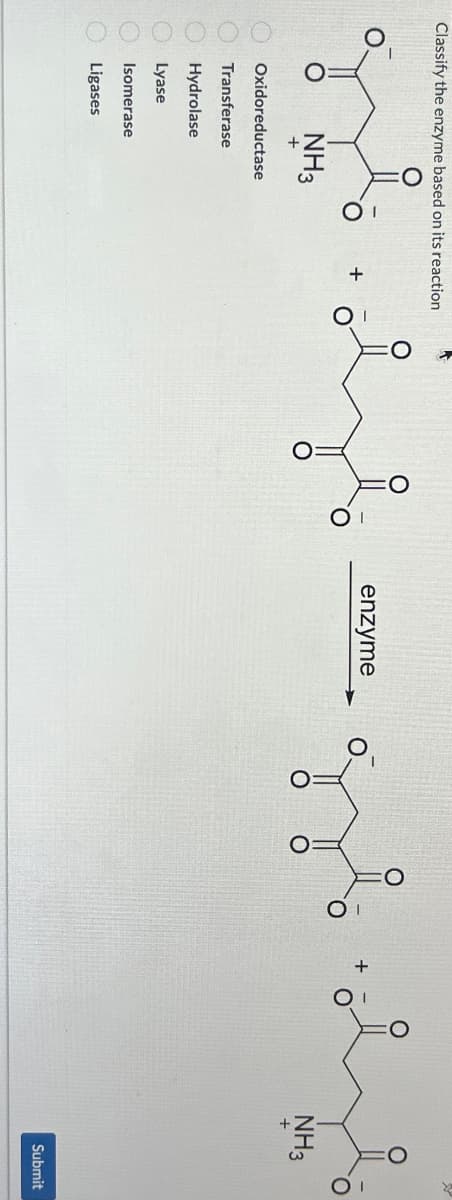 Classify the enzyme based on its reaction
зв
enzyme
O
NH3
+
O
NH3
+
Oxidoreductase
Transferase
Hydrolase
Lyase
Isomerase
Ligases
+
0 0 0 0 0 0
Submit