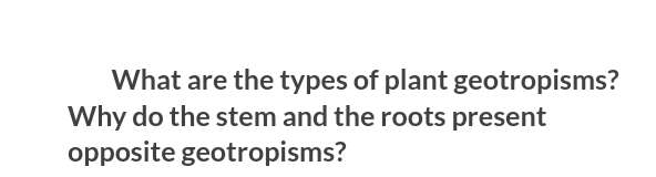 What are the types of plant geotropisms?
Why do the stem and the roots present
opposite geotropisms?
