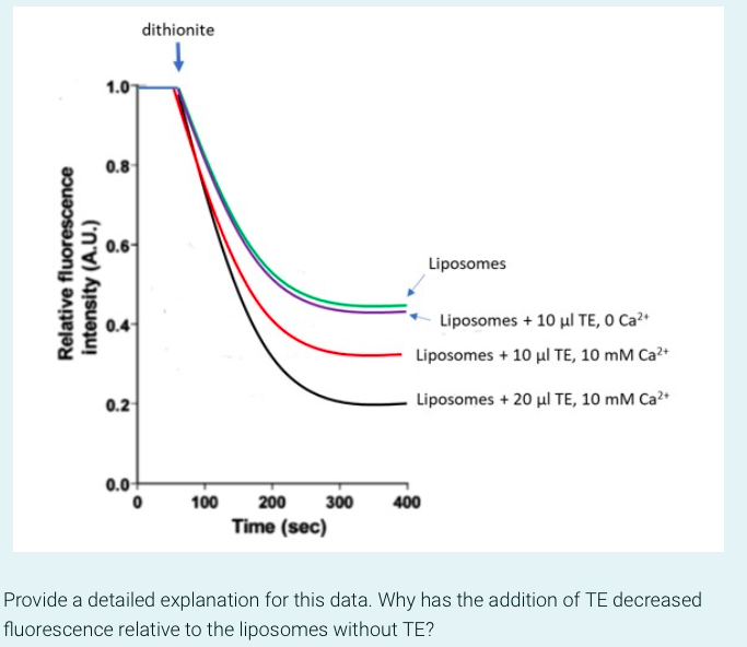 Relative fluorescence
intensity (A.U.)
1.0
0.8
0.6-
0.4
0.2
dithionite
0.0+
0
100
Liposomes
Liposomes + 10 μl TE, O Ca²+
Liposomes + 10 μl TE, 10 mM Ca²+
Liposomes + 20 μl TE, 10 mM Ca²+
200 300 400
Time (sec)
Provide a detailed explanation for this data. Why has the addition of TE decreased
fluorescence relative to the liposomes without TE?