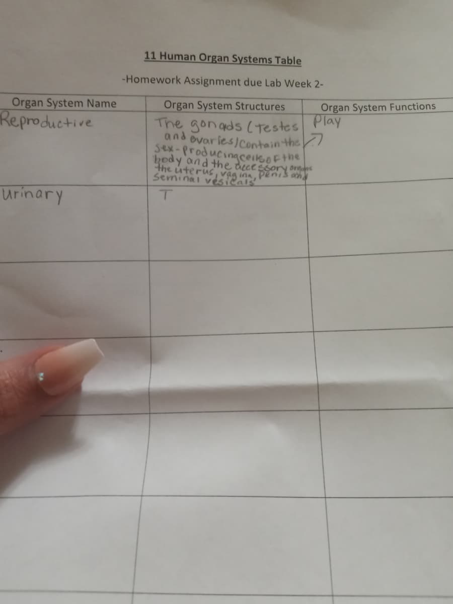 the uterus, vag ina, Penis and
11 Human Organ Systems Table
-Homework Assignment due Lab Week 2-
Organ System Name
Organ System Structures
Organ System Functions
The gonads ( Testes Play
and ovaries contain the
sex-producinaceikoFthe
hody and the dece:
Reproductive
Orens
Seminai vésičals'.
urinary
