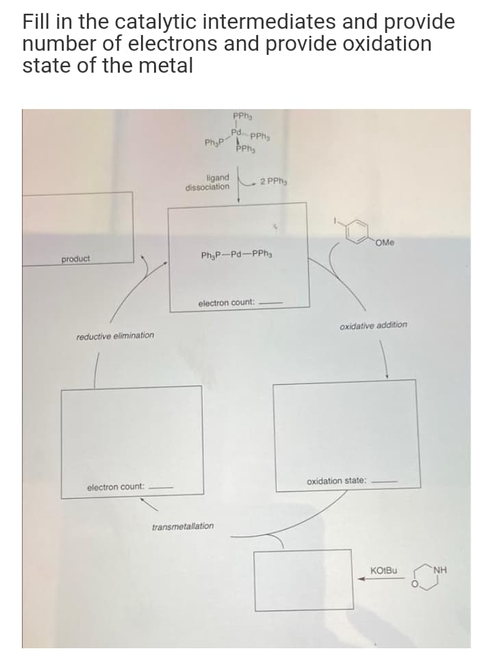 Fill in the catalytic intermediates and provide
number of electrons and provide oxidation
state of the metal
PPh,
Pd.
PPh
PhyP.
PPh,
ligand
dissociation
2 PPhy
OMe
Ph,P-Pd-PPhg
product
electron count:
oxidative addition
reductive elimination
oxidation state:
electron count:
transmetallation
KOIBU
NH
