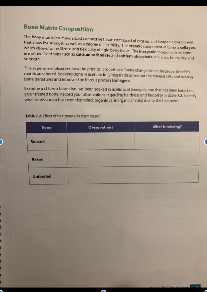 Bone Matrix Composition
The bony matrix is a mineralized connective tissue composed of organic and inorganic components
that allow for strength as well as a degree of flexibility. The organic component of bone is collagen,
which allows for resilience and flexibility of rigid bony tissue. The inorganic components to bone
are mineralized salts such as calcium carbonate and calcium phosphate and allow for rigidity and
strength.
This experiment observes how the physical properties of bone change when the properties of its
matrix are altered. Soaking bone in acetic acid (vinegar) dissolves out the mineral salts and heating
bone denatures and removes the fibrous protein (collagen).
Examine a chicken bone that has been soaked in acetic acid (vinegar), one that has been baked and
an untreated bone. Record your observations regarding hardness and flexibility in Table 7.2. Identify
what is missing or has been degraded (organic vs. inorganic matrix) due to the treatment.
Table 7.2. Effect of treatments on bony matrix.
Bone
Observations
What is missing?
Soaked
Baked
Untreated
175
