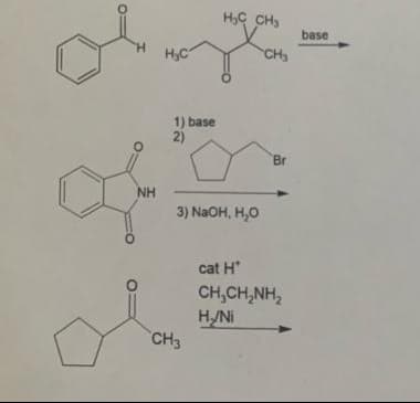 H
NH
H₂C
1) base
2)
H₂ CH3
3) NaOH, H₂O
CH3
CH₂
Br
cat H
CH,CHÍNH,
H/Ni
base