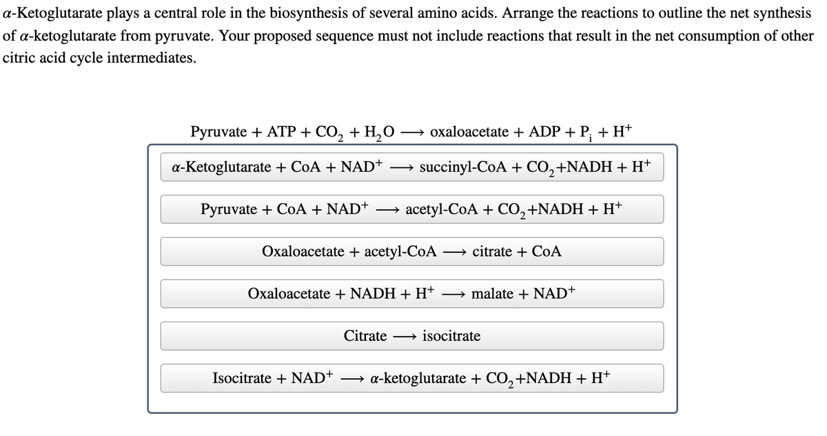 a-Ketoglutarate plays a central role in the biosynthesis of several amino acids. Arrange the reactions to outline the net synthesis
of a-ketoglutarate from pyruvate. Your proposed sequence must not include reactions that result in the net consumption of other
citric acid cycle intermediates.
Pyruvate + ATP + CO, + H,0
→ oxaloacetate + ADP + P; + H+
a-Ketoglutarate + CoA + NAD+
→ succinyl-CoA + CO,+NADH + H+
Pyruvate + CoA + NAD+
acetyl-CoA + CO,+NADH + H+
Oxaloacetate + acetyl-CoA
→ citrate + CoA
Oxaloacetate + NADH + H+
malate + NAD+
Citrate
→ isocitrate
Isocitrate + NAD+
a-ketoglutarate + CO,+NADH + H*
2.
