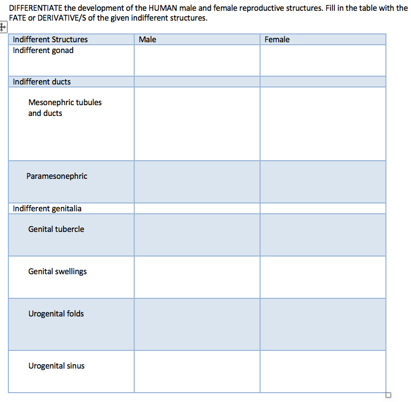 DIFFERENTIATE the development of the HUMAN male and female reproductive structures. Fill in the table with the
FATE or DERIVATIVE/S of the given indifferent structures.
Indifferent Structures
Male
Female
Indifferent gonad
Indifferent ducts
Mesonephric tubules
and ducts
Paramesonephric
Indifferent genitalia
Genital tubercle
Genital swellings
Urogenital folds
Urogenital sinus
