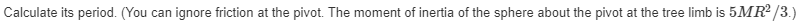 Calculate its period. (You can ignore friction at the pivot. The moment of inertia of the sphere about the pivot at the tree limb is 5MR²/3.)