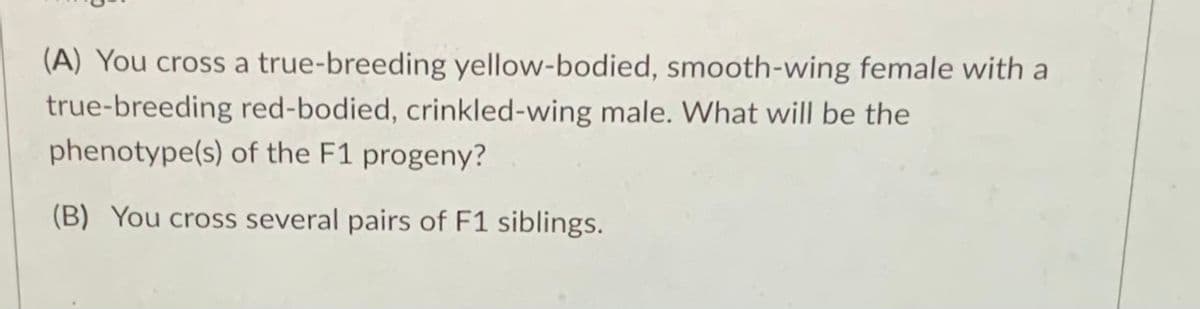 (A) You cross a true-breeding yellow-bodied, smooth-wing female with a
true-breeding red-bodied, crinkled-wing male. What will be the
phenotype(s) of the F1 progeny?
(B) You cross several pairs of F1 siblings.
