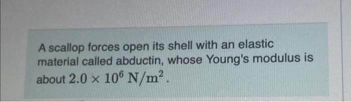 A scallop forces open its shell with an elastic
material called abductin, whose Young's modulus is
about 2.0 x 106 N/m².