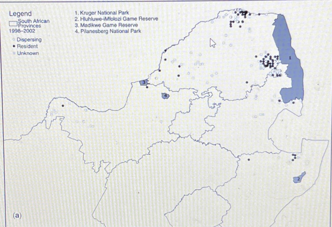 Legend
South African
Provinces
1998-2002
Dispersing
• Resident
Unknown
(a)
1. Kruger National Park
2. Hluhluwe-iMfolozi Game Reserve
3. Madikwe Game Reserve
4. Pilanesberg National Park