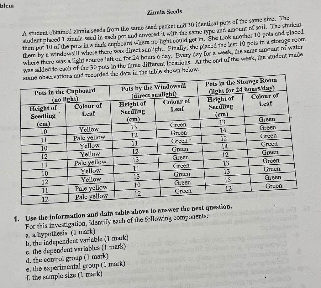 blem
Zinnia Seeds
A student obtained zinnia seeds from the same seed packet and 30 identical pots of the same size. The
student placed 1 zinnia seed in each pot and covered it with the same type and amount of soil. The student
then put 10 of the pots in a dark cupboard where no light could get in. She took another 10 pots and placed
them by a windowsill where there was direct sunlight. Finally, she placed the last 10 pots in a storage room
where there was a light source left on for 24 hours a day. Every day for a week, the same amount of water
was added to each of the 30 pots in the three different locations. At the end of the week, the student made
some observations and recorded the data in the table shown below.
Pots in the Cupboard
(no light)
Height of
Seedling
(cm)
10
11
10
Colour of
Leaf
12
11
10
12
11
12
Height of
Seedling
(cm)
13
12
11
12
13
11
13
10
12.
en C1 Too
1. Use the information and data table above to answer the next question.
For this investigation, identify each of the following components:-
Yellow
Pale yellow
Yellow
Yellow
Pale yellow
Yellow
Yellow
Pots by the Windowsill
(direct sunlight)
Pale yellow
Pale yellow
a. a hypothesis (1 mark)
b. the independent variable (1 mark)
c. the dependent variables (1 mark)
d. the control group (1 mark)
Colour of
Leaf
e. the experimental group (1 mark)
f. the sample size (1 mark)
Pots in the Storage Room
(light for 24 hours/day)
Height of
Colour of
Leaf
Green
Green
Green
Green
Green
Green
Green
Green
Green
Seedling
(cm)
13
14
12
14
12
13
13
15
12
Green
Green
Green
Green
Green
Green
Green
Green
Green
