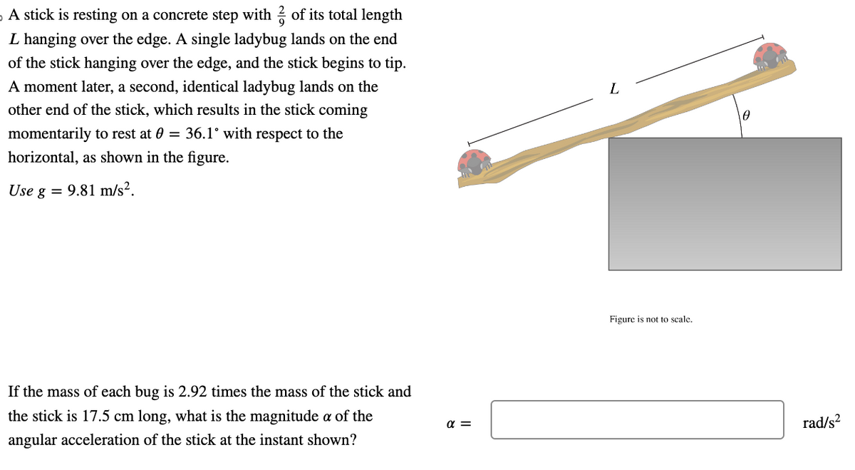 A stick is resting on a concrete step with 2 of its total length
L hanging over the edge. A single ladybug lands on the end
of the stick hanging over the edge, and the stick begins to tip.
A moment later, a second, identical ladybug lands on the
other end of the stick, which results in the stick coming
momentarily to rest at 0 = 36.1° with respect to the
horizontal, as shown in the figure.
Use g 9.81 m/s².
If the mass of each bug is 2.92 times the mass of the stick and
the stick is 17.5 cm long, what is the magnitude a of the
angular acceleration of the stick at the instant shown?
απ
Figure is not to scale.
Ꮎ
rad/s²