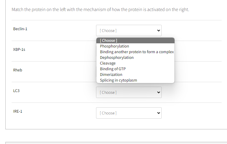 Match the protein on the left with the mechanism of how the protein is activated on the right.
Beclin-1
XBP-1s
Rheb
LC3
IRE-1
[Choose]
[Choose]
Phosphorylation
Binding another protein to form a complex
Dephosphorylation
Cleavage
Binding of GTP
Dimerization
Splicing in cytoplasm
[Choose]
[Choose]