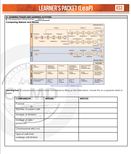 LEARNER'S PACKET (LeaP)
IV. LEARNING PHASES AND LEARNING ACTIVITIES
D. Development (Time Frame: DAY 2
Comparing Meiosis and Mitosis
MARAN
DNA
C
http://ca.org/content/m4
Tel
HAPLOC
Cy
C
Cy
DIPLOID CELLS
OUTCOME
T
KS3
Learning Task 1Compare and contrast mitosis and melosis by filling up the table below. Answer this on a separate sheet of
paper.
---d---n-dne
COMPARISON
Purpose
Number of parent cells
Number of divisions
Number of cells
produced
Chromosome sets (=n)
Type of cells that
undergo cell division
MITOSIS
MEIOSIS