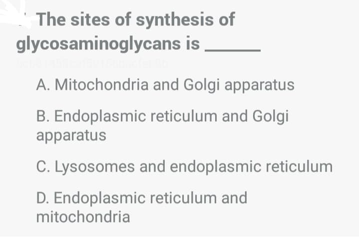 The sites of synthesis of
glycosaminoglycans is
A. Mitochondria and Golgi apparatus
B. Endoplasmic reticulum and Golgi
apparatus
C. Lysosomes and endoplasmic reticulum
D. Endoplasmic reticulum and
mitochondria
