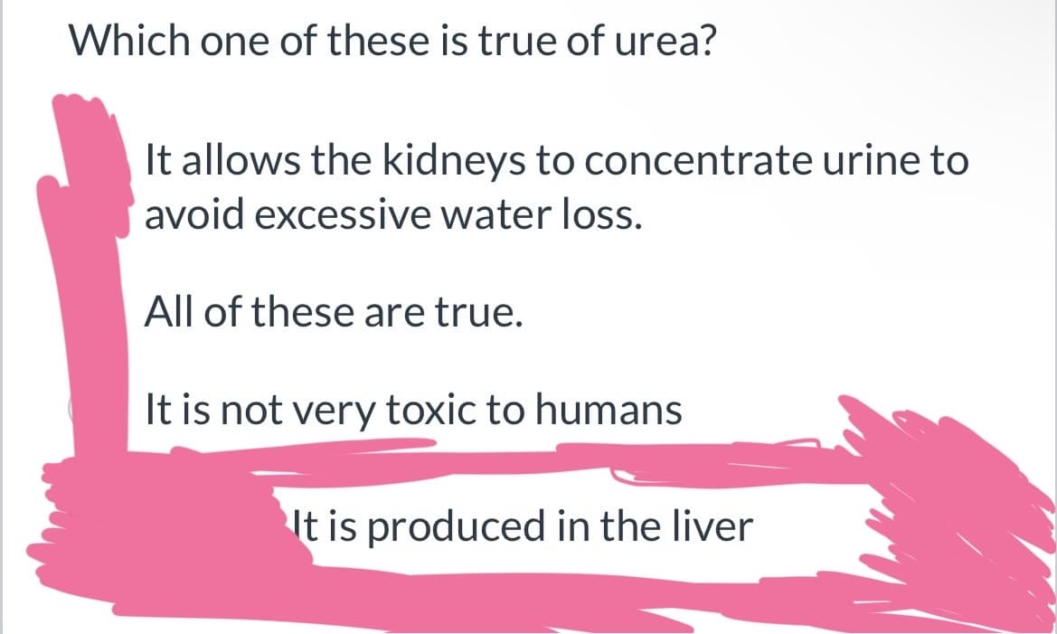 Which one of these is true of urea?
It allows the kidneys to concentrate urine to
avoid excessive water loss.
All of these are true.
It is not very toxic to humans
It is produced in the liver