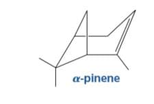a-pinene
