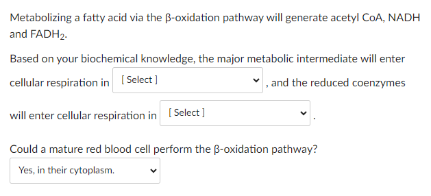 Metabolizing a fatty acid via the B-oxidation pathway will generate acetyl CoA, NADH
and FADH₂.
Based on your biochemical knowledge, the major metabolic intermediate will enter
cellular respiration in [Select]
and the reduced coenzymes
will enter cellular respiration in [Select]
Could a mature red blood cell perform the ß-oxidation pathway?
Yes, in their cytoplasm.