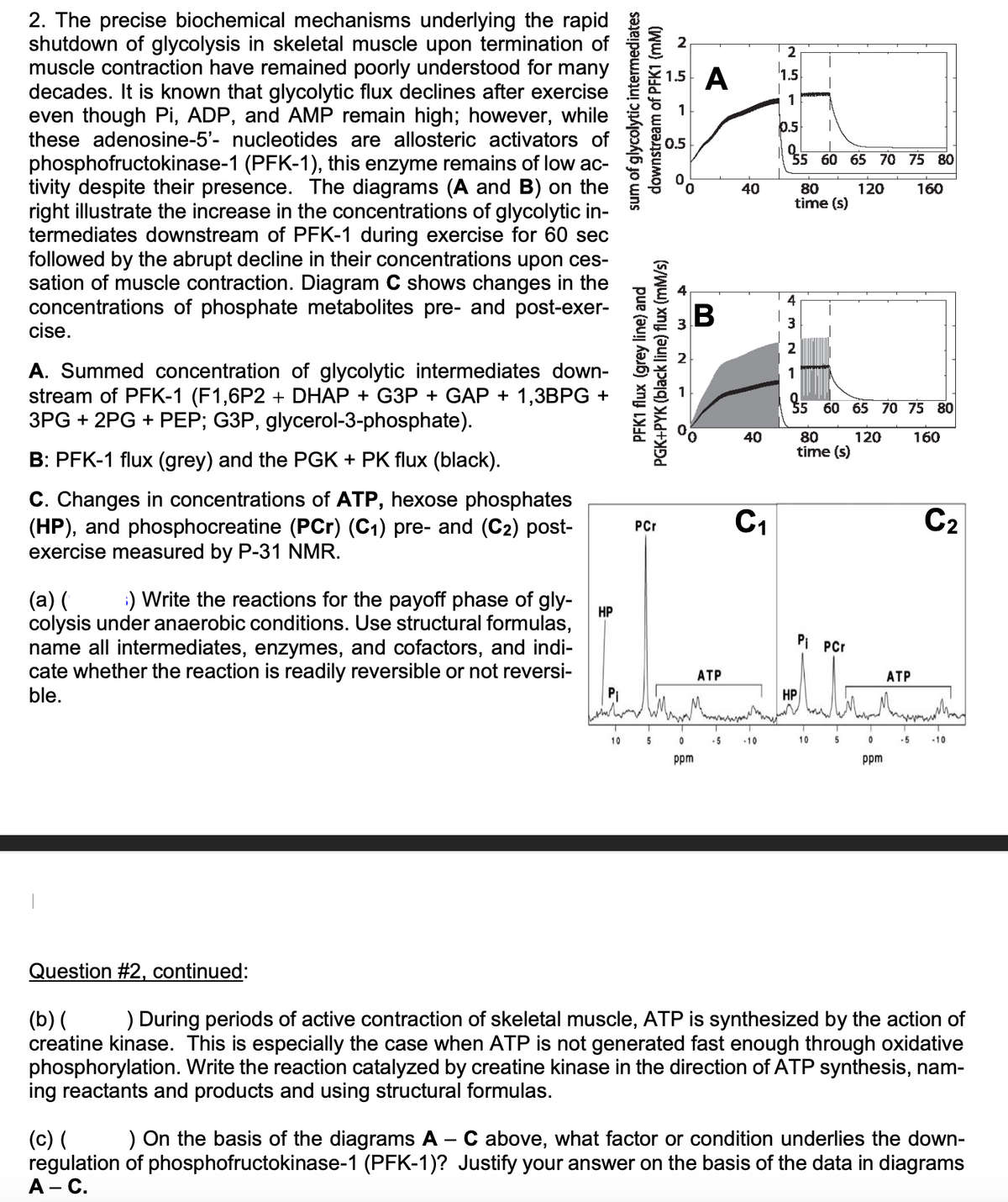 2. The precise biochemical mechanisms underlying the rapid
shutdown of glycolysis in skeletal muscle upon termination of
muscle contraction have remained poorly understood for many
decades. It is known that glycolytic flux declines after exercise
even though Pi, ADP, and AMP remain high; however, while
these adenosine-5'- nucleotides are allosteric activators of
phosphofructokinase-1 (PFK-1), this enzyme remains of low ac-
tivity despite their presence. The diagrams (A and B) on the
right illustrate the increase in the concentrations of glycolytic in-
termediates downstream of PFK-1 during exercise for 60 sec
followed by the abrupt decline in their concentrations upon ces-
sation of muscle contraction. Diagram C shows changes in the
concentrations of phosphate metabolites pre- and post-exer-
cise.
A. Summed concentration of glycolytic intermediates down-
stream of PFK-1 (F1,6P2 + DHAP + G3P + GAP + 1,3BPG +
3PG + 2PG + PEP; G3P, glycerol-3-phosphate).
B: PFK-1 flux (grey) and the PGK + PK flux (black).
C. Changes in concentrations of ATP, hexose phosphates
(HP), and phosphocreatine (PCr) (C1) pre- and (C2) post-
exercise measured by P-31 NMR.
(a) ( 6) Write the reactions for the payoff phase of gly-
colysis under anaerobic conditions. Use structural formulas,
name all intermediates, enzymes, and cofactors, and indi-
cate whether the reaction is readily reversible or not reversi-
ble.
HP
intermediates
2
1.5 A
1.5
1
1
0.5
0.5
PFK1 flux (grey line) and
PGK+PYK (black line) flux (mM/s)
sum of glycolytic
downstream of PFK1 (mM)
2
PCr
B
40
55 60 65 70 75 80
80
time (s)
120
160
3
2
40
95 60 65 70 75 80
55
80
time (s)
120
160
C₁1
ATP
HP
Pi PCr
ATP
C2
T
10
5
0
-5
-10
10
5
-5
-10
ppm
ppm
Question #2, continued:
(b) ( ) During periods of active contraction of skeletal muscle, ATP is synthesized by the action of
creatine kinase. This is especially the case when ATP is not generated fast enough through oxidative
phosphorylation. Write the reaction catalyzed by creatine kinase in the direction of ATP synthesis, nam-
ing reactants and products and using structural formulas.
(c) ( ) On the basis of the diagrams A - C above, what factor or condition underlies the down-
regulation of phosphofructokinase-1 (PFK-1)? Justify your answer on the basis of the data in diagrams
A - C.