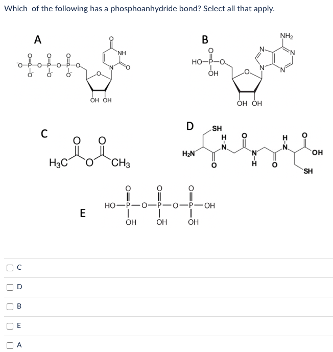 Which of the following has a phosphoanhydride bond? Select all that apply.
n
A
of of
най
OH OH
о
B
Ш
n
A
NH
E
B
но-
OH
OH OH
D SH
C
новови зазд
CH3
Н
ОН
H₂N
HO-P-O-P-O-P-OH
OH
NH₂
ОН
ОН
SH