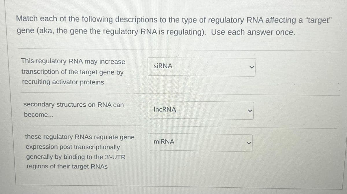 Match each of the following descriptions to the type of regulatory RNA affecting a "target"
gene (aka, the gene the regulatory RNA is regulating). Use each answer once.
This regulatory RNA may increase
siRNA
transcription of the target gene by
recruiting activator proteins.
secondary structures on RNA can
become...
IncRNA
these regulatory RNAs regulate gene
miRNA
expression post transcriptionally
generally by binding to the 3'-UTR
regions of their target RNAs
>
>