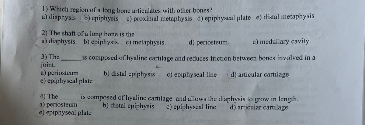 1) Which region of a long bone articulates with other bones?
a) diaphysis (b) epiphysis c) proximal metaphysis d) epiphyseal plate e) distal metaphysis
2) The shaft of a long bone is the
a) diaphysis. b) epiphysis. c) metaphysis.
3) The
joint.
a) periosteum
d) periosteum.
e) medullary cavity.
is composed of hyaline cartilage and reduces friction between bones involved in a
e) epiphyseal plate
4) The
a) periosteum
b) distal epiphysis c) epiphyseal line
d) articular cartilage
is composed of hyaline cartilage and allows the diaphysis to grow in length.
b) distal epiphysis
c) epiphyseal line d) articular cartilage
e) epiphyseal plate