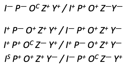 IP-OC Z+Y+ / I+ P* O+ Z−Y-
I+ P− O+ Z+Y+ / I-P+O+Z+Y-
I+P+ OC Z- Y+/I+ P− O+Z+Y-
IS P+ O+ Z+ Y−/I-P+ OC Z− Y+