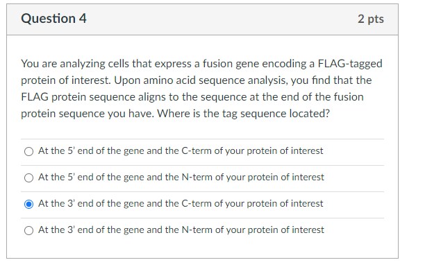 Question 4
2 pts
You are analyzing cells that express a fusion gene encoding a FLAG-tagged
protein of interest. Upon amino acid sequence analysis, you find that the
FLAG protein sequence aligns to the sequence at the end of the fusion
protein sequence you have. Where is the tag sequence located?
At the 5' end of the gene and the C-term of your protein of interest
At the 5' end of the gene and the N-term of your protein of interest
At the 3' end of the gene and the C-term of your protein of interest
At the 3' end of the gene and the N-term of your protein of interest