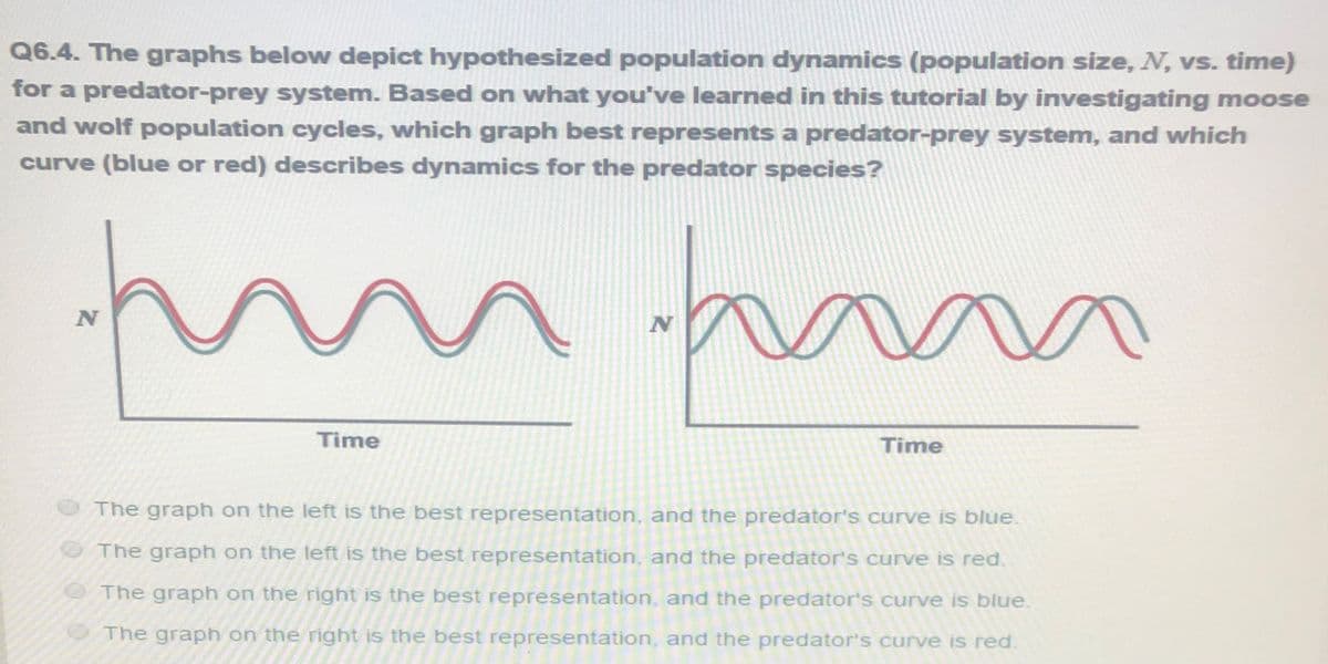 Q6.4. The graphs below depict hypothesized population dynamics (population size, N, vs. time)
for a predator-prey system. Based on what you've learned in this tutorial by investigating moose
and wolf population cycles, which graph best represents a predator-prey system, and which
curve (blue or red) describes dynamics for the predator species?
fum ha
N
Time
N
Time
The graph on the left is the best representation, and the predator's curve is blue.
The graph on the left is the best representation, and the predator's curve is red.
The graph on the right is the best representation, and the predator's curve is blue.
The graph on the right is the best representation, and the predator's curve is red.
^