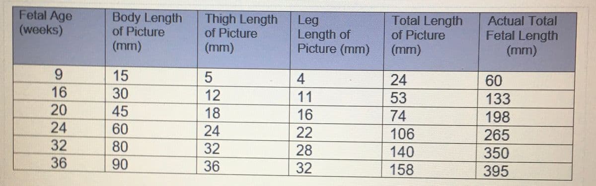 Fetal Age
(weeks)
of Picture
(mm)
Body Length
Thigh Length
of Picture
(mm)
Leg
Total Length
Length of
of Picture
Actual Total
Fetal Length
Picture (mm)
(mm)
(mm)
9
15
5
4
24
60
16
30
12
11
53
133
20
45
18
16
74
198
24
60
24
22
106
265
32
80
32
28
140
350
36
90
36
32
158
395