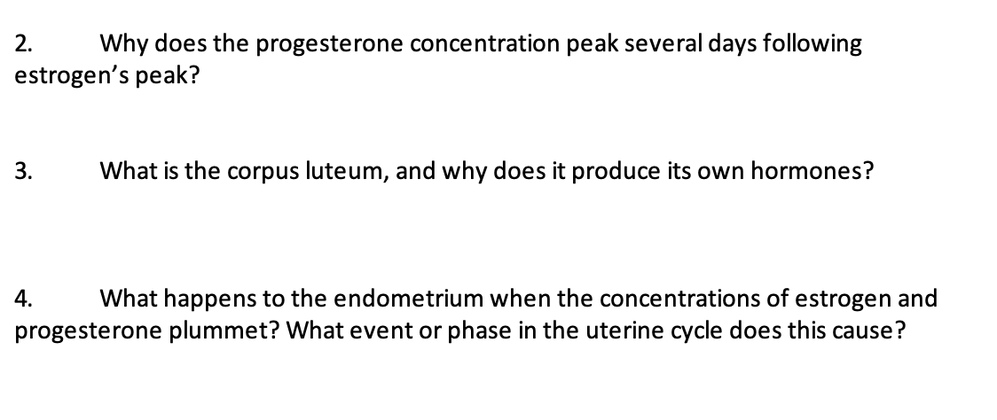 2. Why does the progesterone concentration peak several days following
estrogen's peak?
3.
What is the corpus luteum, and why does it produce its own hormones?
4.
What happens to the endometrium when the concentrations of estrogen and
progesterone plummet? What event or phase in the uterine cycle does this cause?